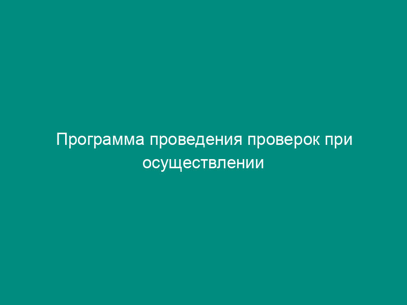 Программа проведения проверок при осуществлении государственного строительного надзора