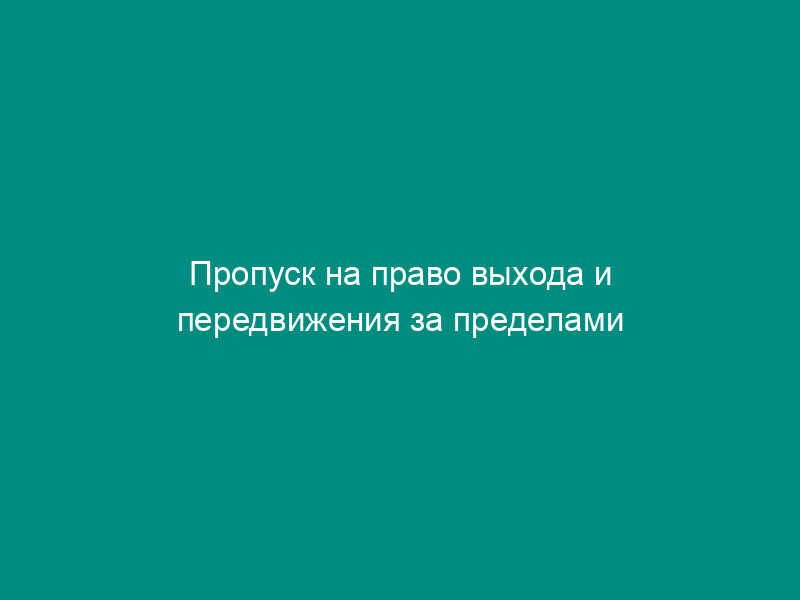 Пропуск на право выхода и передвижения за пределами воспитательной колонии