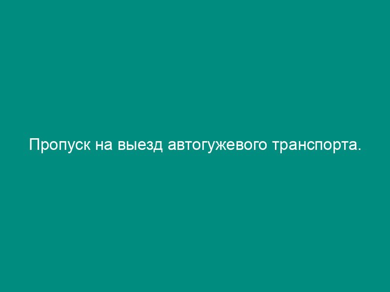 Пропуск на выезд автогужевого транспорта. Специализированная форма N 17-ОТ