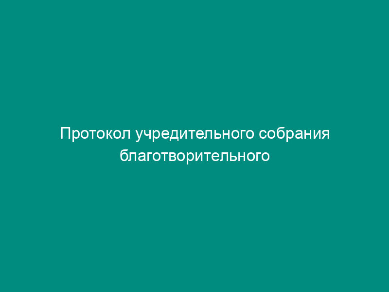 Протокол учредительного собрания благотворительного общества (пример)