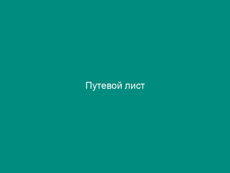 Путевой лист