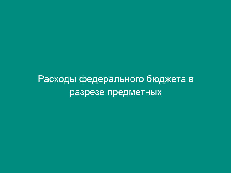 Расходы федерального бюджета в разрезе предметных статей. Форма N 0505800