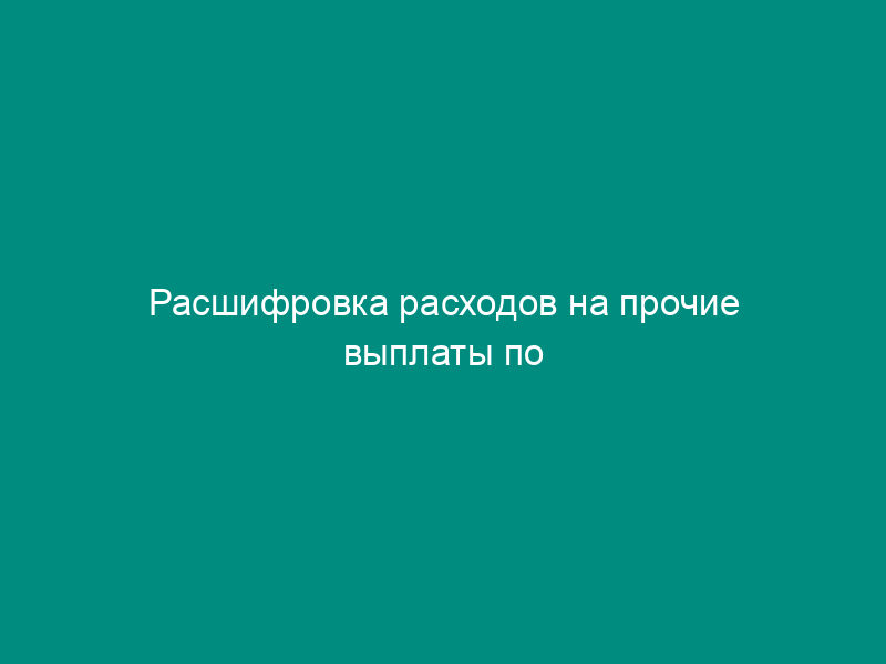 Расшифровка расходов на прочие выплаты по государственному контракту (договору) по обеспечению государственных нужд Минобрнауки РФ. Форма N 12