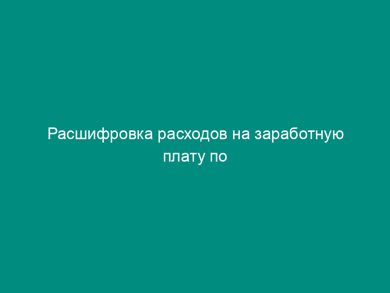 Расшифровка расходов на заработную плату по государственному контракту (договору) по обеспечению государственных нужд Минобрнауки РФ. Форма N 11