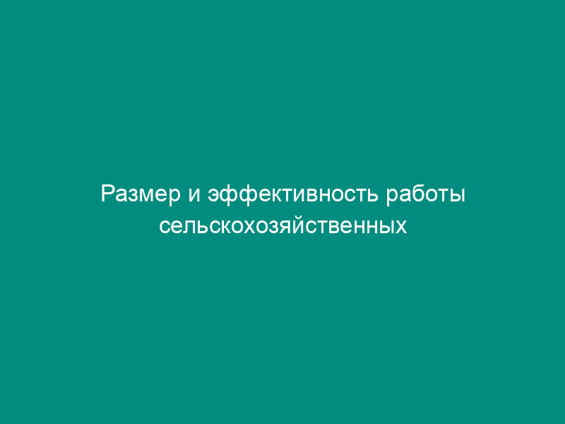 Размер и эффективность работы сельскохозяйственных потребительских кооперативов