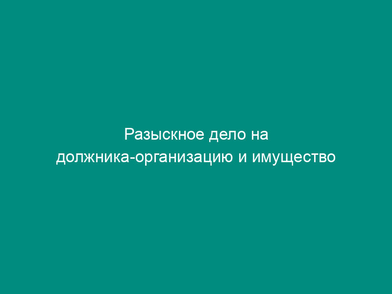 Разыскное дело на должника-организацию и имущество должника (гражданина или организации)