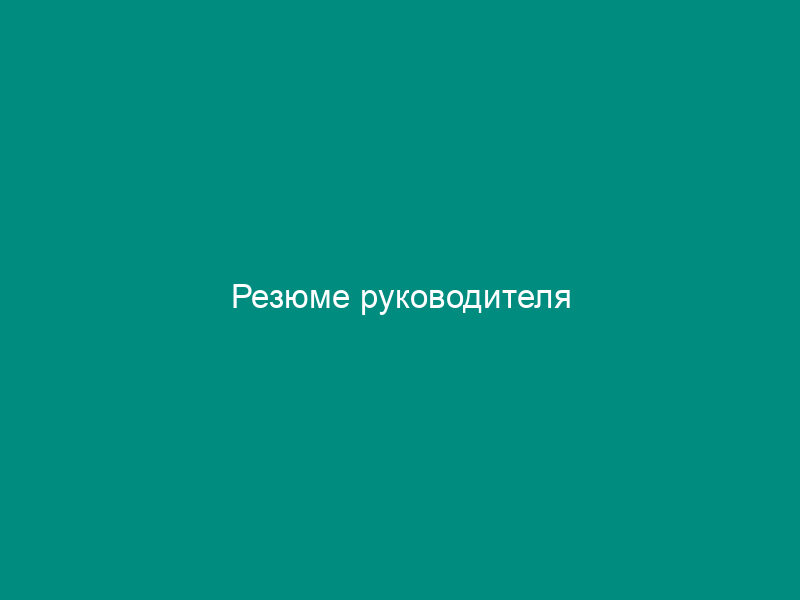 Резюме руководителя