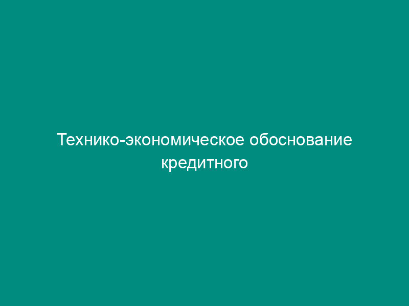 Технико-экономическое обоснование кредитного мероприятия (примерное)