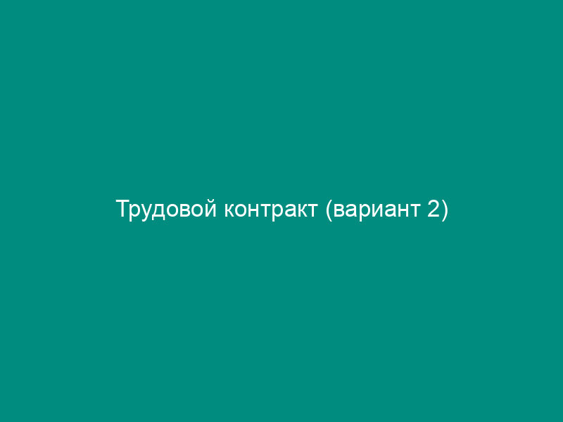 Трудовой контракт (вариант 2)