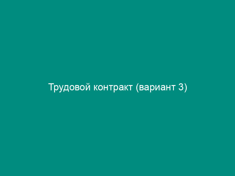 Трудовой контракт (вариант 3)