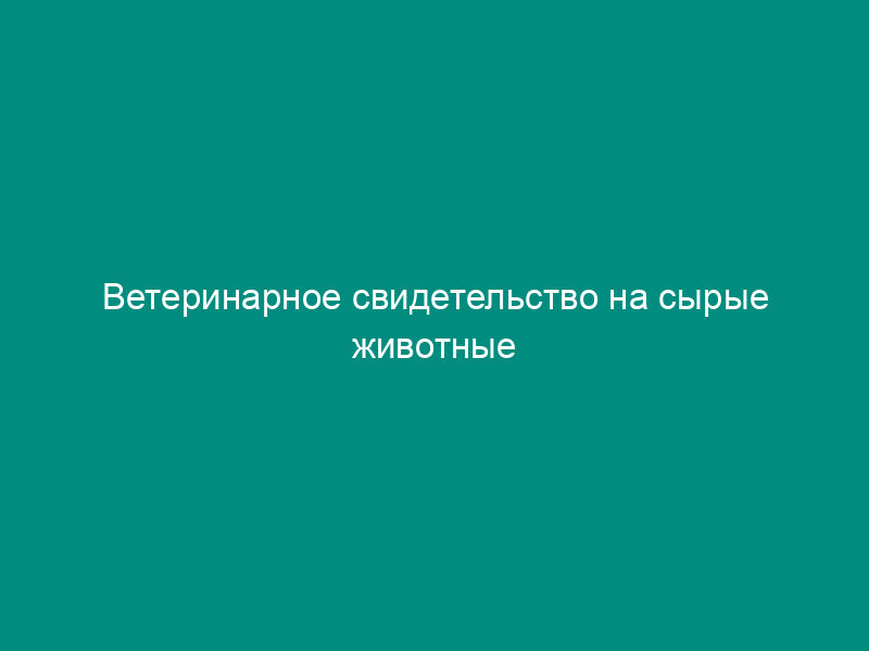 Ветеринарное свидетельство на сырые животные продукты при их отправке автомобильными дорогами, железнодорожными и водными путями сообщения