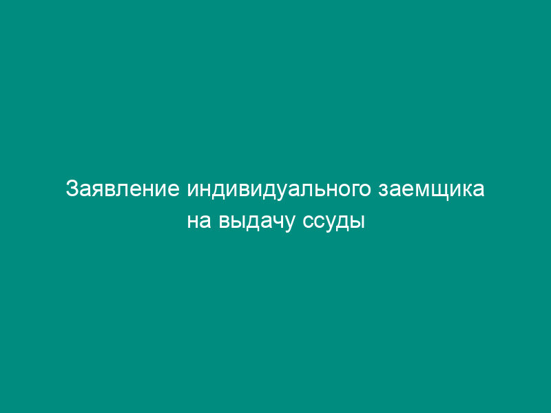 Заявление индивидуального заемщика на выдачу ссуды