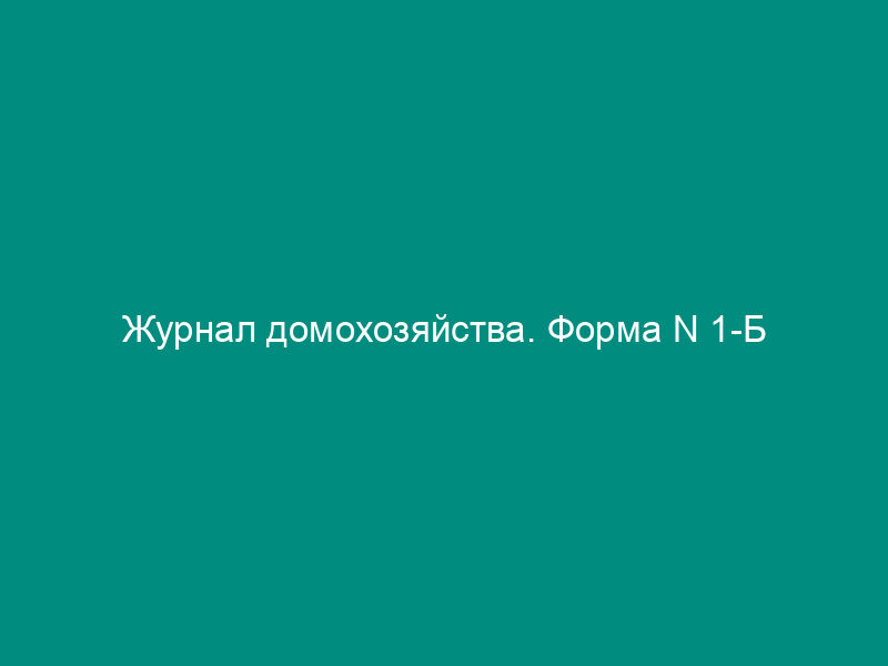 Журнал домохозяйства. Форма N 1-Б