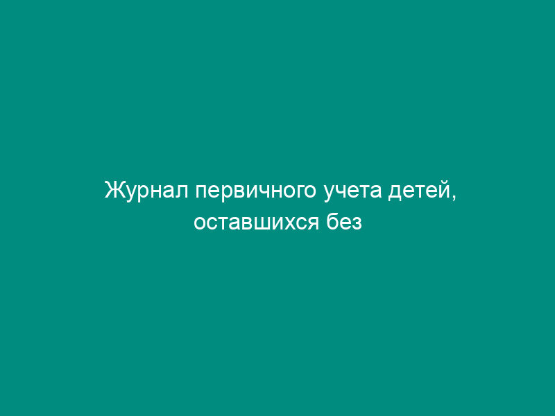 Журнал первичного учета детей, оставшихся без попечения родителей